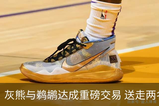 灰熊与鹈鹕达成重磅交易 送走两名球员换来新血
