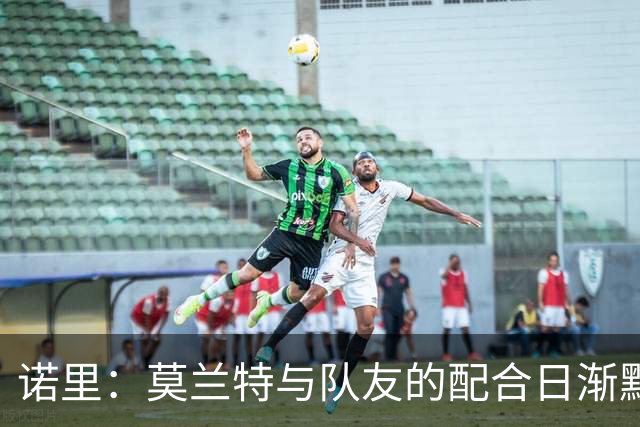 诺里：莫兰特与队友的配合日渐默契 比赛节奏逐步适应